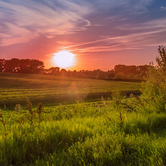 Kentucky field at sunset